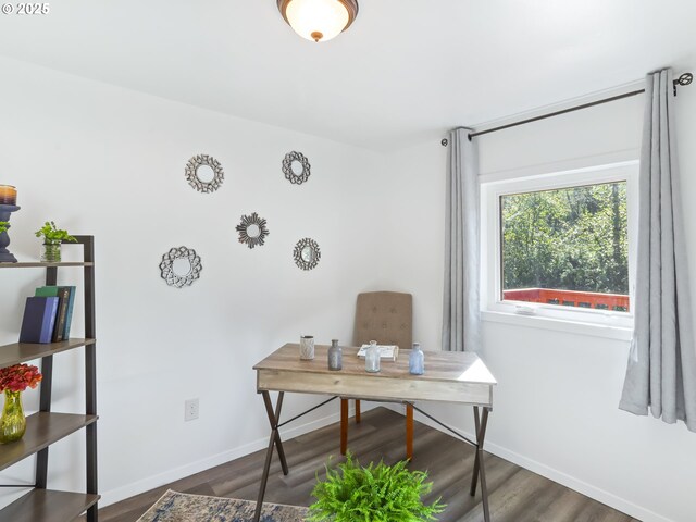 office with baseboards and wood finished floors