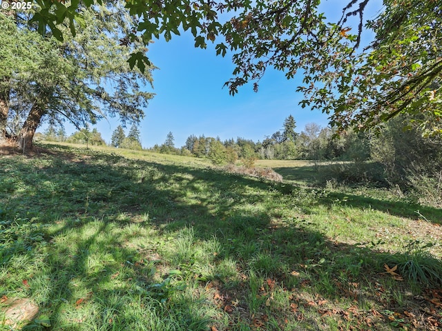 view of landscape