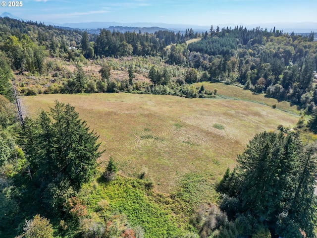 bird's eye view with a forest view