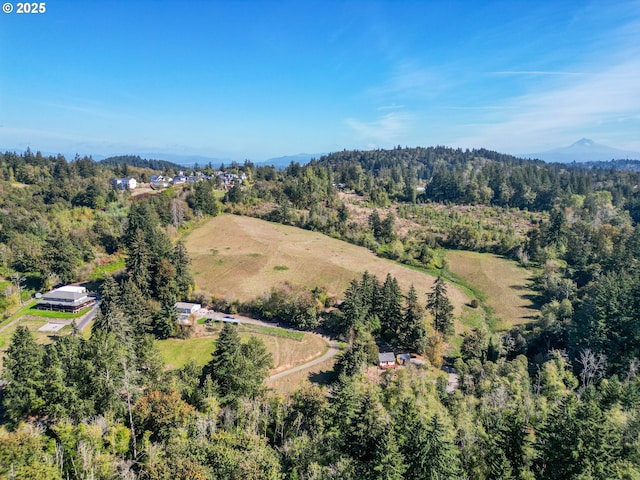 birds eye view of property featuring a mountain view and a view of trees