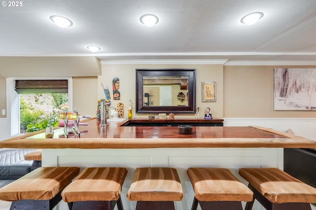 bar featuring ornamental molding, a sink, and a wainscoted wall
