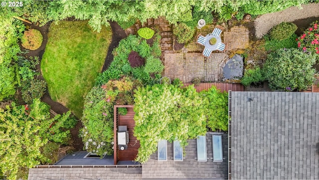 bird's eye view