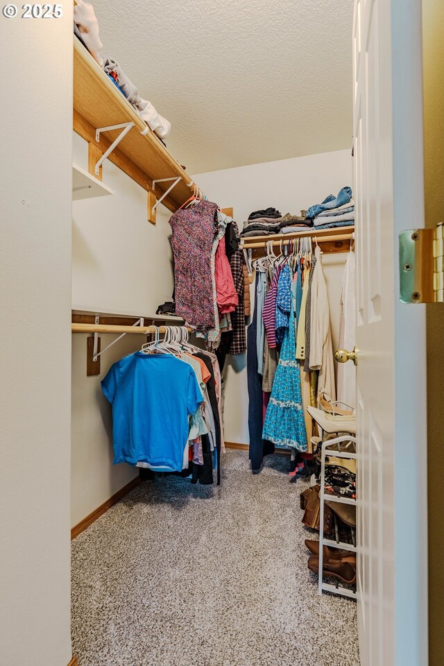 595 Cozy Way, Woodburn, OR 97071 - spacious closet featuring carpet