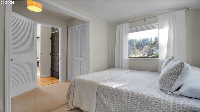 bedroom featuring wood finished floors, a closet, and lofted ceiling
