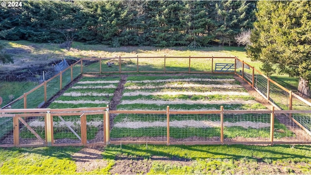 view of yard with a view of countryside and a gate