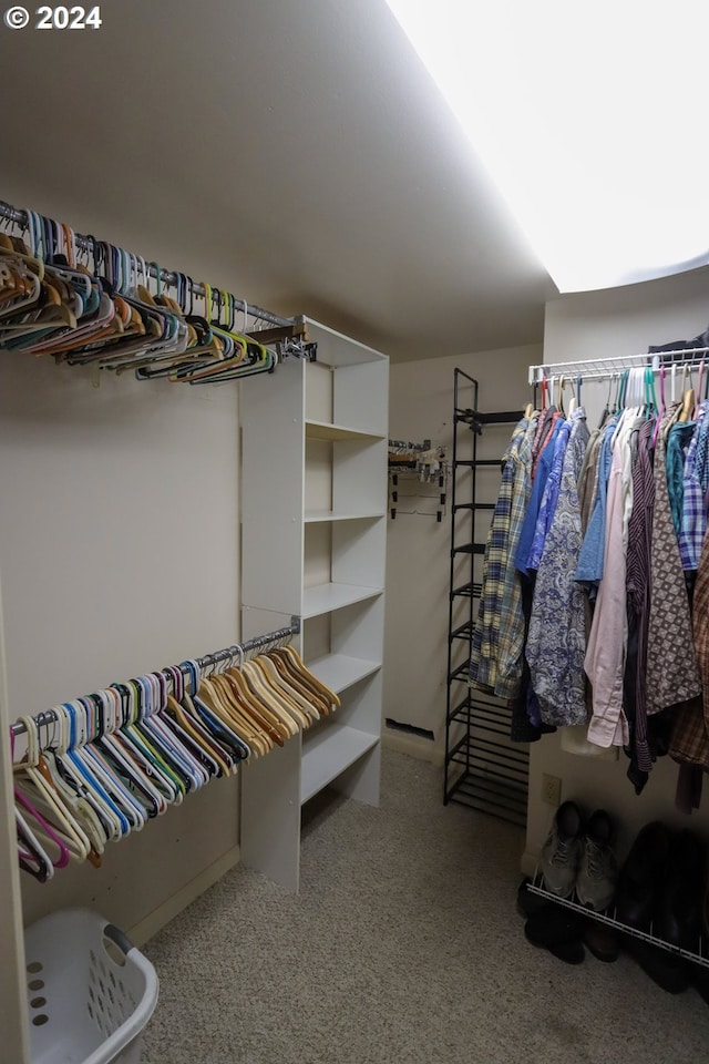 view of walk in closet