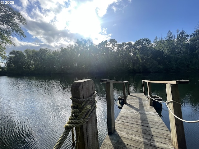 34360 NE Colorado Lake Dr Unit 996, Corvallis, OR 97333 - dock area featuring a water view