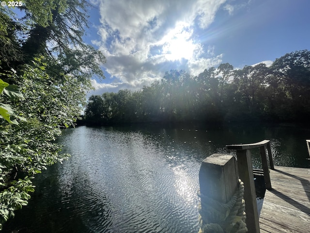 34360 NE Colorado Lake Dr Unit 996, Corvallis, OR 97333 - dock featuring a water view