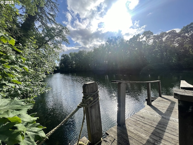 34360 NE Colorado Lake Dr Unit 996, Corvallis, OR 97333 - dock area with a water view
