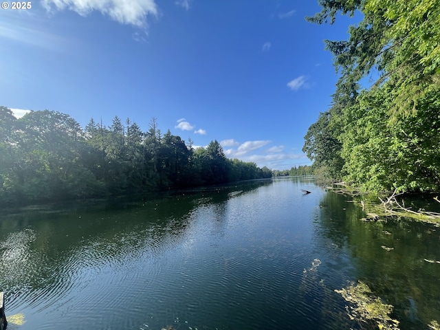 34360 NE Colorado Lake Dr Unit 996, Corvallis, OR 97333 - water view with a heavily wooded area