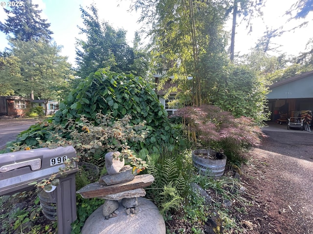 34360 NE Colorado Lake Dr Unit 996, Corvallis, OR 97333 - view of yard