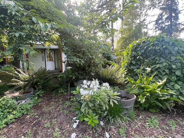 34360 NE Colorado Lake Dr Unit 996, Corvallis, OR 97333 - view of yard