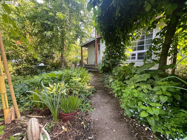 34360 NE Colorado Lake Dr Unit 996, Corvallis, OR 97333 - view of yard