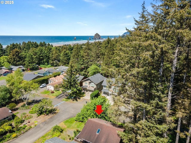 3715 Coho Pl, Cannon Beach, OR 97110 - bird's eye view of a large body of water