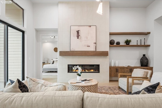 living area featuring wood finished floors and a fireplace