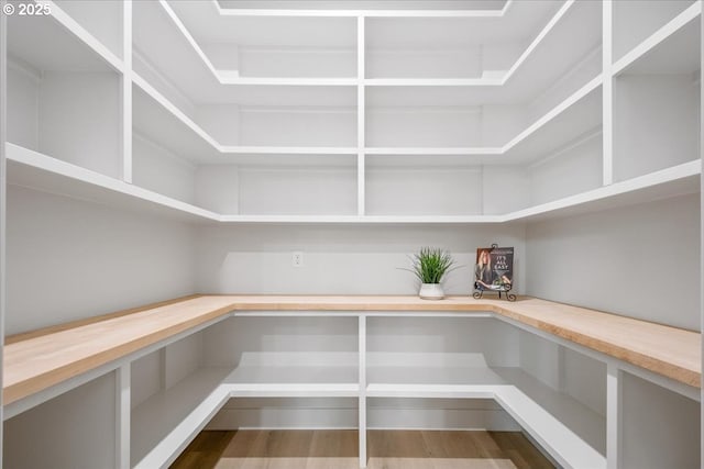 view of pantry