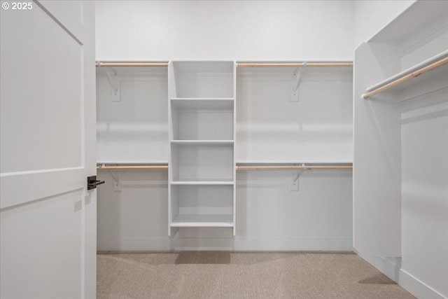 spacious closet featuring carpet flooring