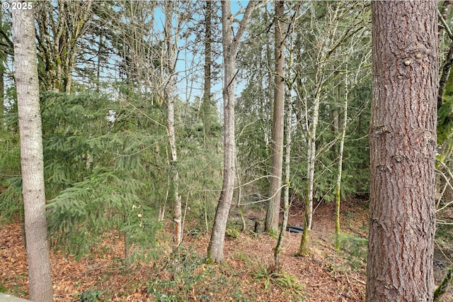 1044 N 26th Ter, Cornelius, OR 97113 - view of nature
