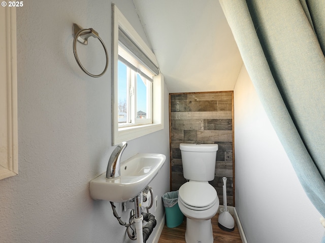 bathroom featuring lofted ceiling, toilet, sink, and wood-type flooring