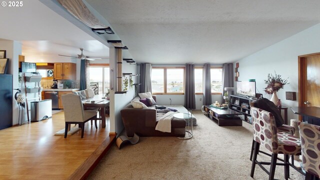 carpeted living room featuring ceiling fan and a textured ceiling