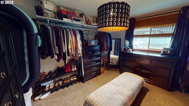 walk in closet with light carpet