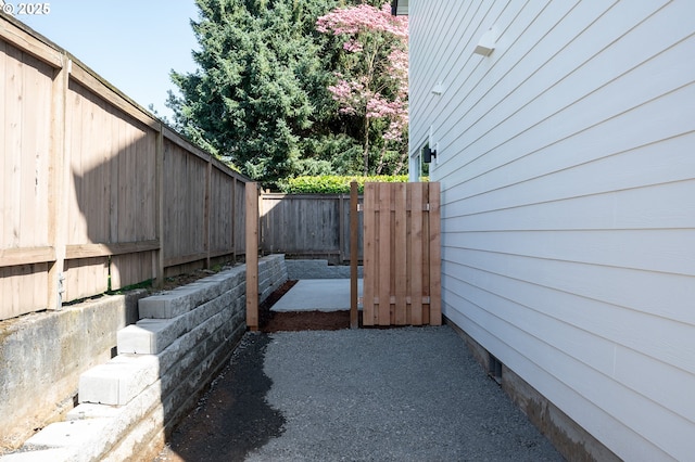 view of home's exterior with a patio and a fenced backyard