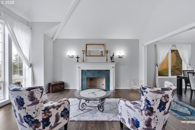 living area featuring a wealth of natural light, lofted ceiling, and a premium fireplace