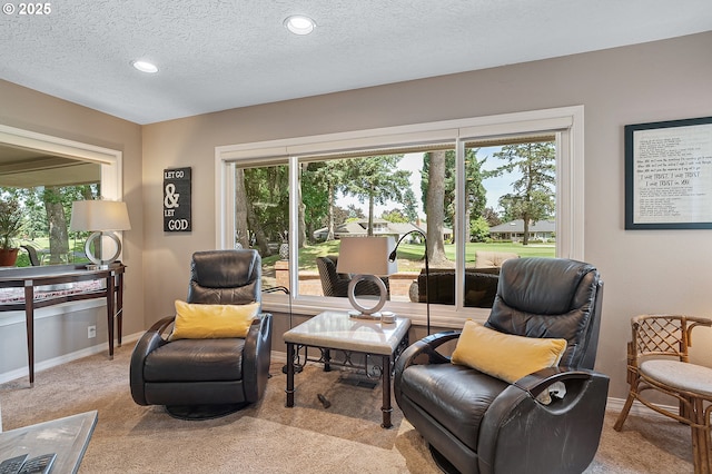 7250 SW Arbor Lake Dr, Wilsonville, OR 97070 - living area featuring carpet, a textured ceiling, baseboards, and recessed lighting