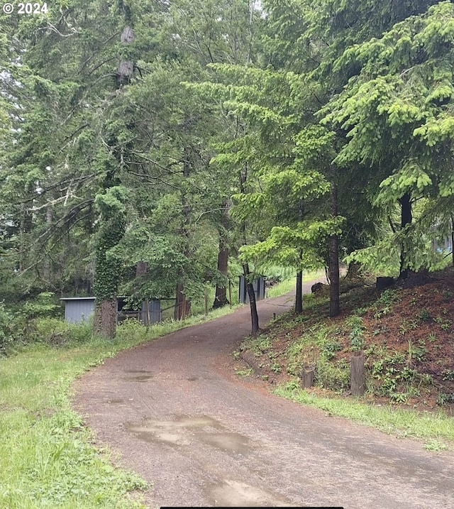 62760 Koski Rd, Coos Bay, OR 97420 - view of asphalt road featuring a view of trees