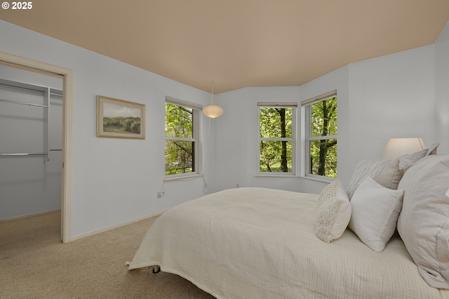 1500 SW Park Ave Unit 429, Portland, OR 97201 - carpeted bedroom featuring a spacious closet and baseboards
