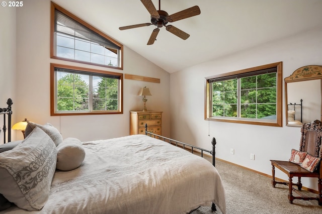 carpeted bedroom with ceiling fan, high vaulted ceiling, and multiple windows