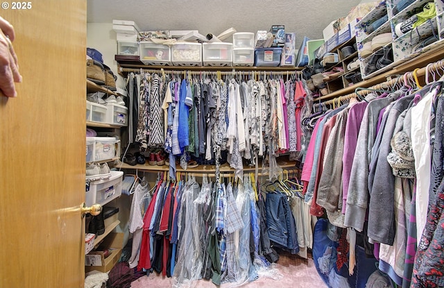 10535 SW 135th Ave, Beaverton, OR 97008 - view of walk in closet