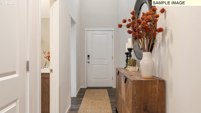 doorway with dark hardwood / wood-style floors