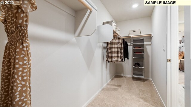 spacious closet with light colored carpet