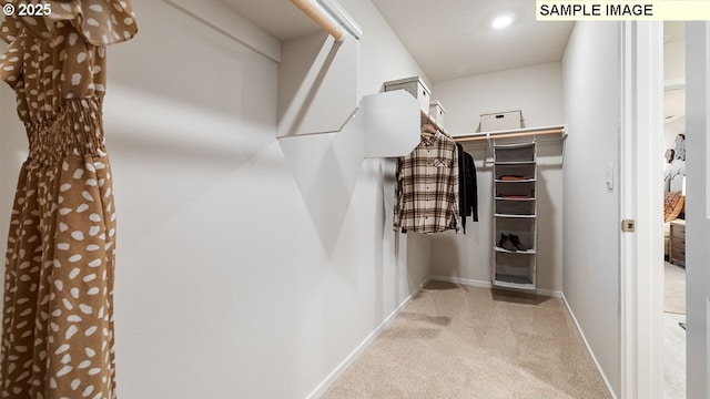 spacious closet featuring carpet floors