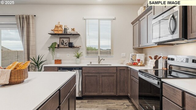 kitchen featuring dark brown cabinetry, sink, light hardwood / wood-style floors, and appliances with stainless steel finishes