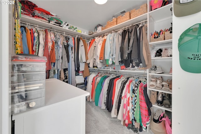 spacious closet featuring carpet flooring