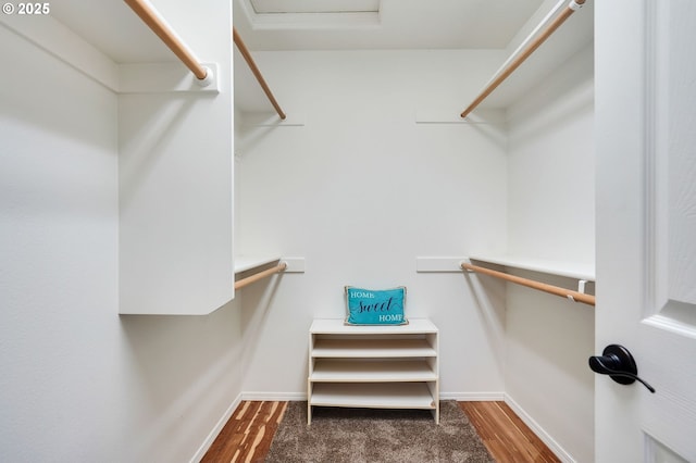 walk in closet featuring dark hardwood / wood-style flooring