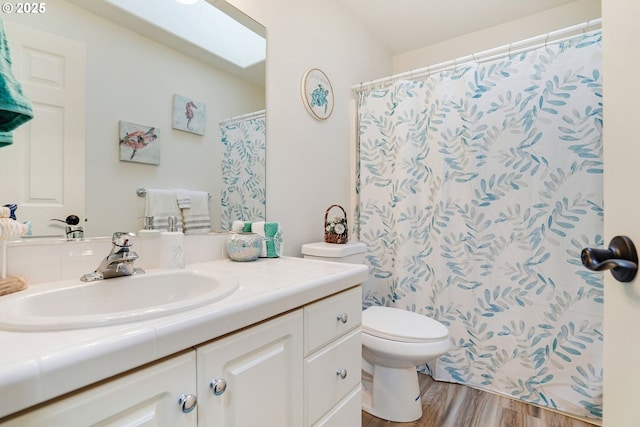 bathroom featuring vanity, toilet, and wood-type flooring