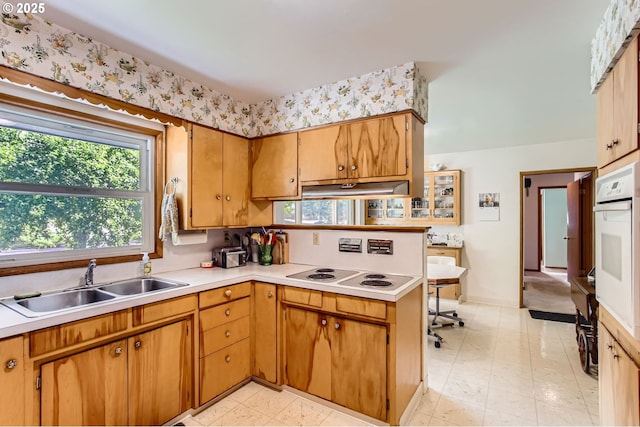 14385 SW Hargis Rd, Beaverton, OR 97008 - kitchen with white appliances, under cabinet range hood, plenty of natural light, and light countertops