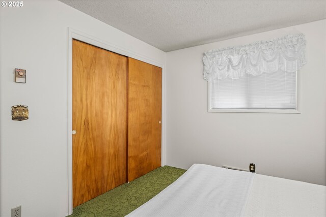 82091 Lost Valley Ln, Dexter, OR 97431 - carpeted bedroom featuring a closet and a textured ceiling
