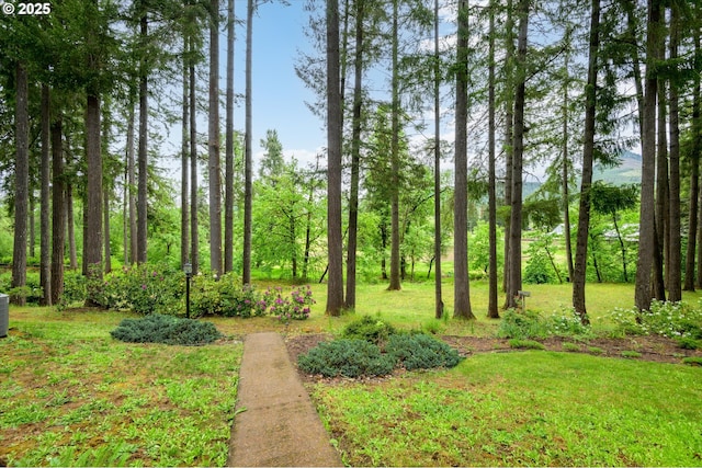 82091 Lost Valley Ln, Dexter, OR 97431 - view of green lawn