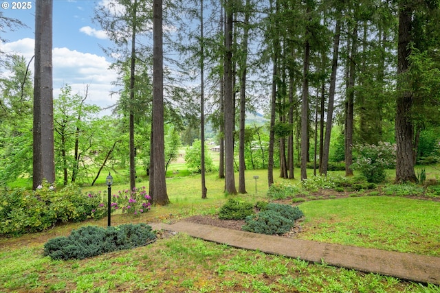 82091 Lost Valley Ln, Dexter, OR 97431 - view of grassy yard