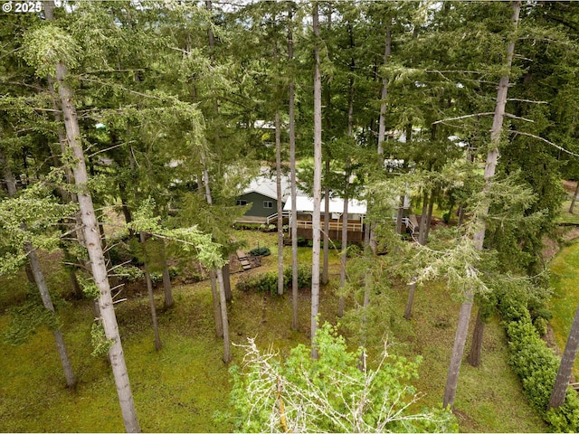 82091 Lost Valley Ln, Dexter, OR 97431 - view of yard