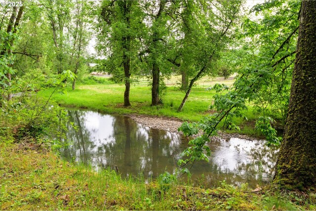 82091 Lost Valley Ln, Dexter, OR 97431 - water view