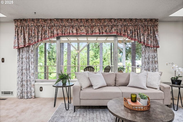 82091 Lost Valley Ln, Dexter, OR 97431 - carpeted living room featuring a textured ceiling