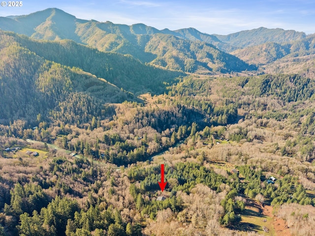 mountain view with a wooded view