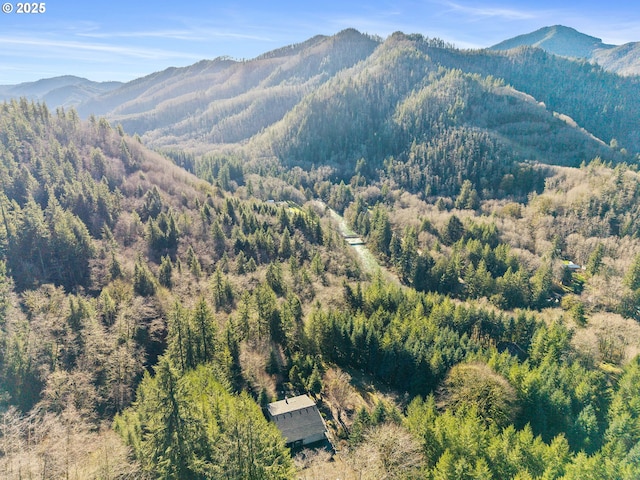 view of mountain feature featuring a view of trees