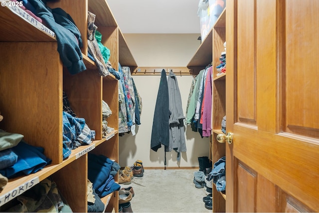 spacious closet with carpet flooring