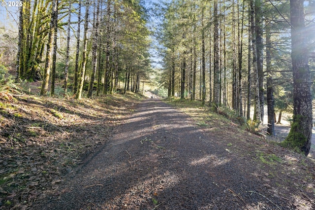 view of street featuring a wooded view